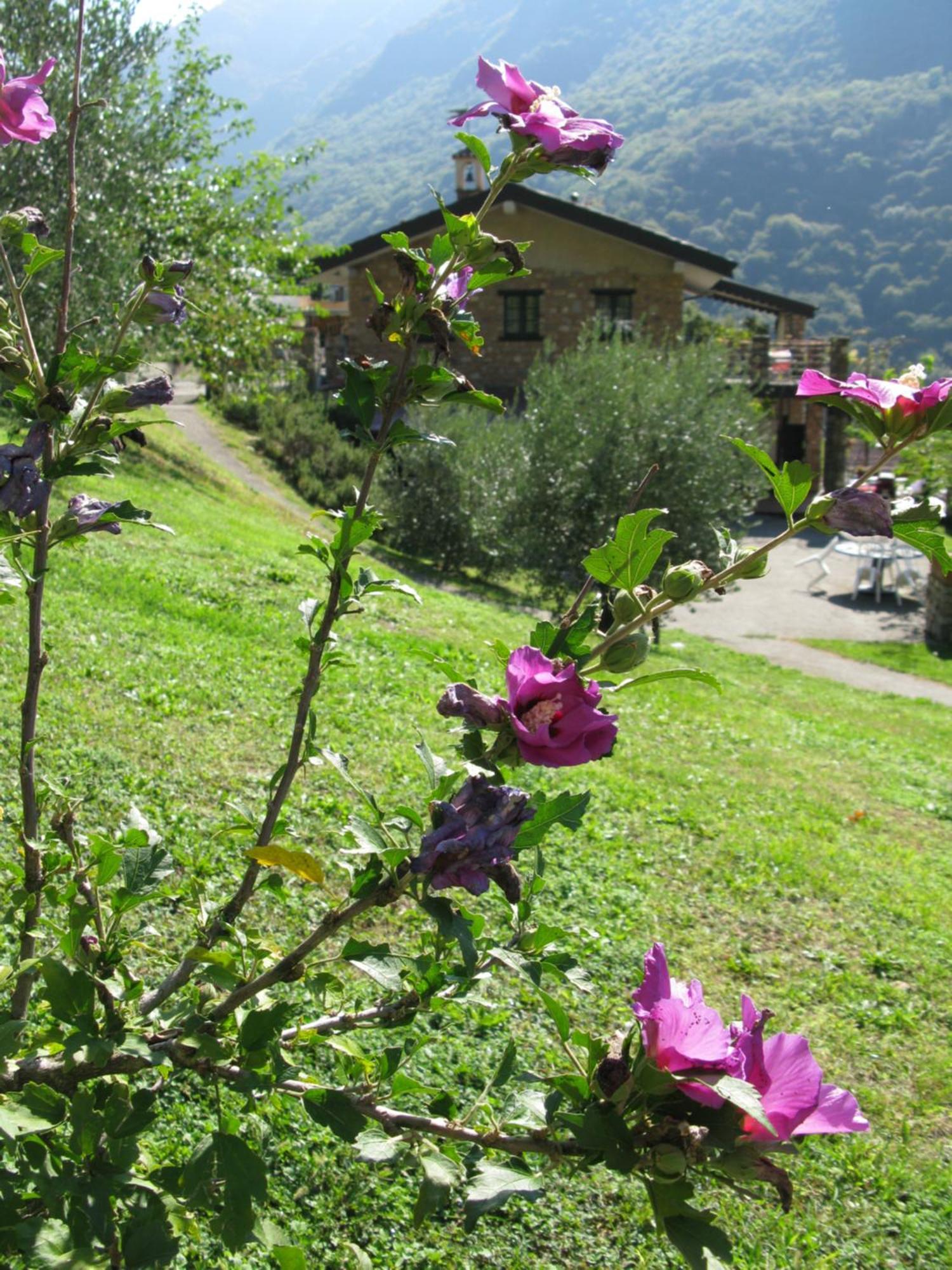 Chalet Della Rota Marone Exteriér fotografie